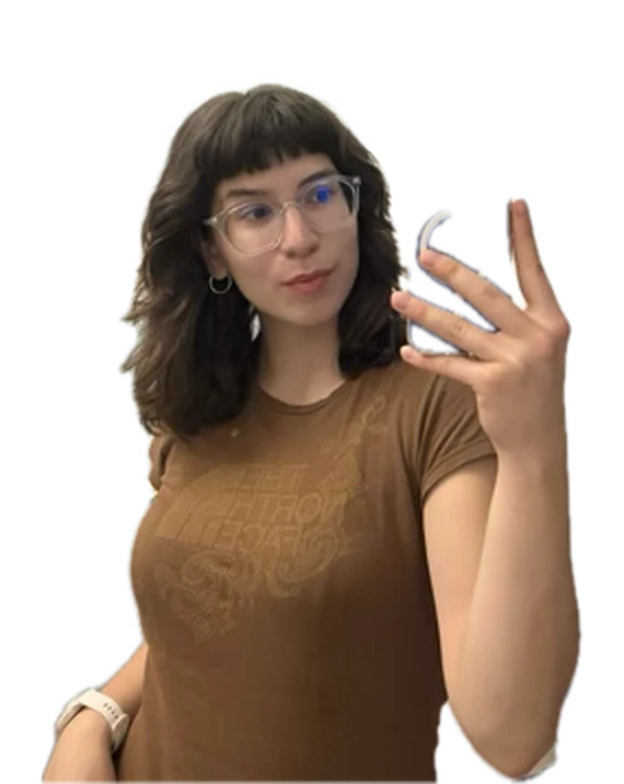 Orsi